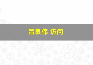 吕良伟 访问